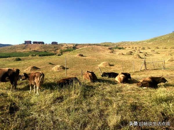 重阳节不下雨有什么说法,立冬重阳节