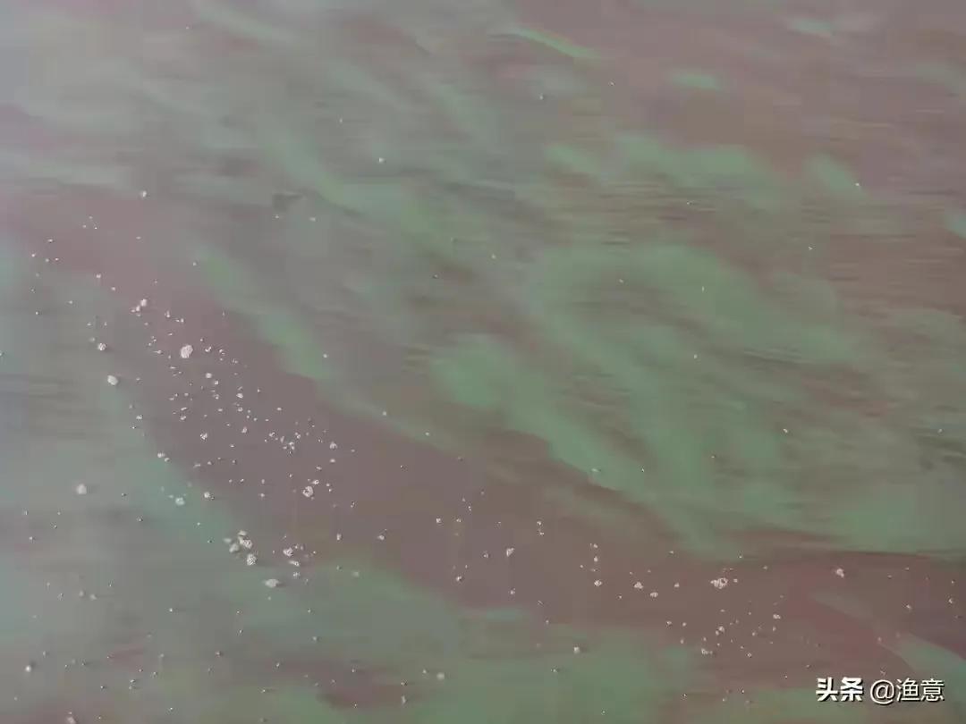 冬季大鱼进窝不咬钩怎么办,大鱼都进窝了还能钓吗