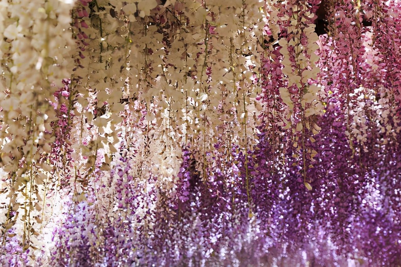 新都桥最美的十大景点,中国自然风光最美的十大旅游景点