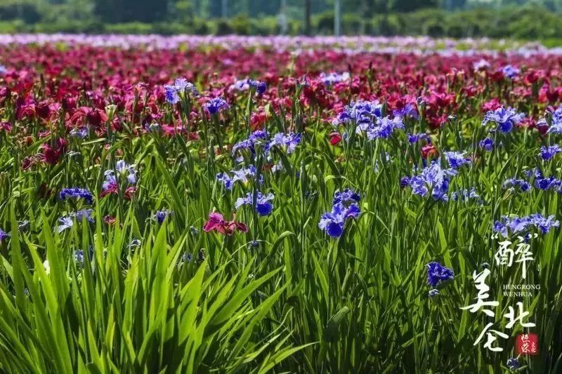 北仑旅游攻略大全集,北仑旅游攻略