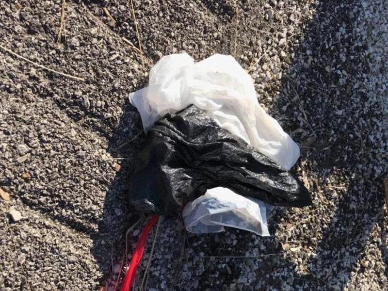 就要圣诞了！这只可怜狗却被装在满是石头的塑料袋，扔到小河里！