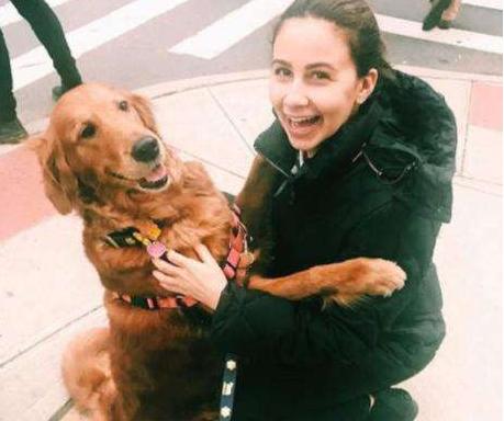 最好养的十种狗狗是哪几种,哪种狗狗最听话最好养又好养