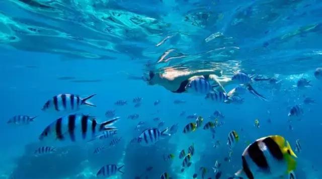 全球惊艳的10个海底世界，看到第一个就想出发！