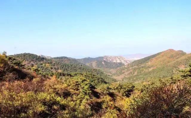 大连哪里的秋色最美呢,大连赏秋景的地方