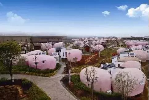 福建十大顶级民宿,福建特色民宿推荐