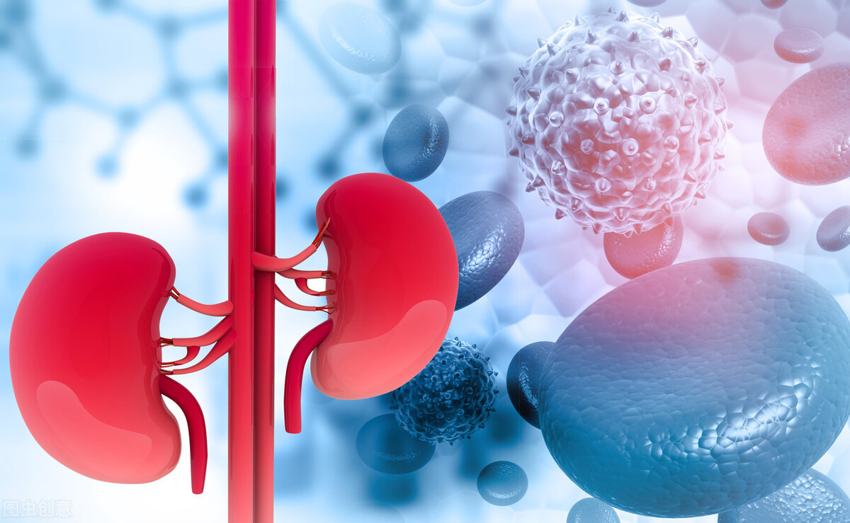 中药调理男性肾功能多久恢复,肾功能不好引起的高血压怎么调理