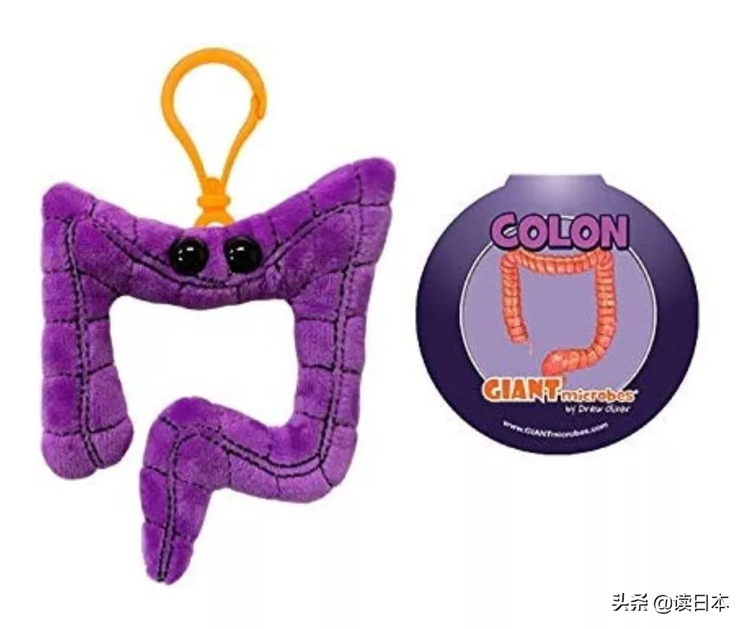 “*体器人官**”挂件或成为日本最新潮流？网友：我的钱包又要哭了