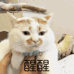 眼睛干涩有螨虫怎么治疗,眼睛干涩痒越揉越痒会不会有螨虫