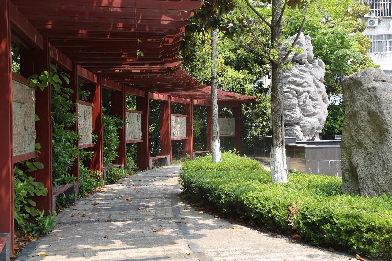 29中初中部有多少考上南师附中,29中尖子班