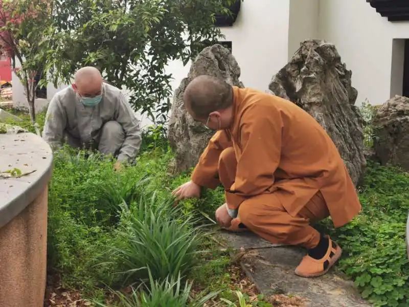 抢抓农时开展农业生产,农民纷纷抢抓春耕生产有利时机