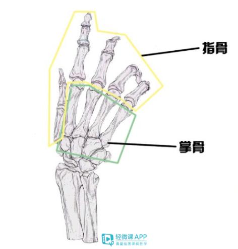 动漫人物手的最简单画法,动漫人物手的画法各种姿势