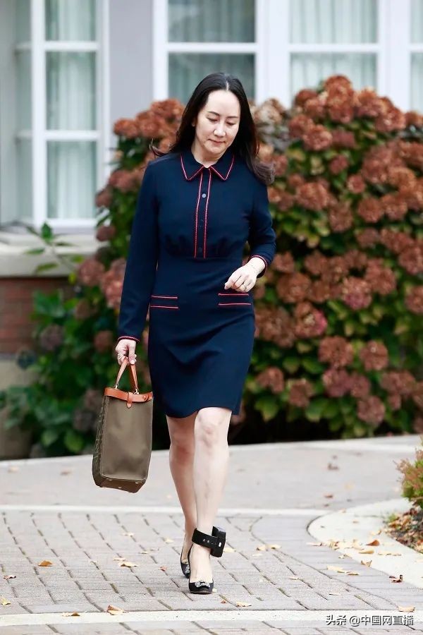 加拿大皇家骑警,加拿大皇家骑警猎犬事件