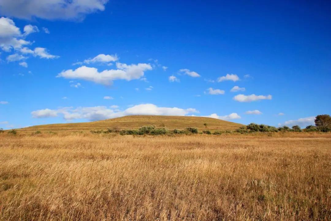 一个“不想上”北外的姑娘，却成为新中国的大使