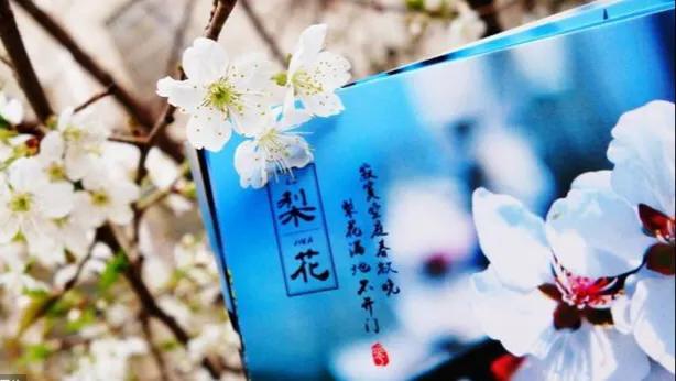 朝朝暮暮年年岁岁心心念念的意思,朝朝暮暮心心念念是什么意思