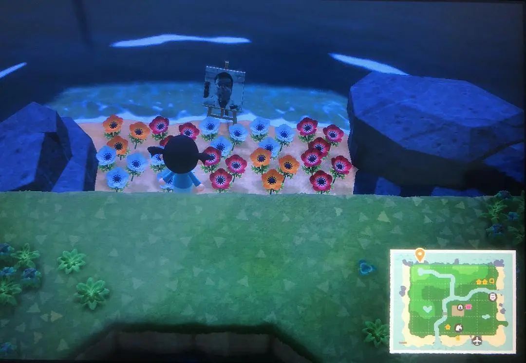 现在还能玩动森吗,还有多少人玩动森