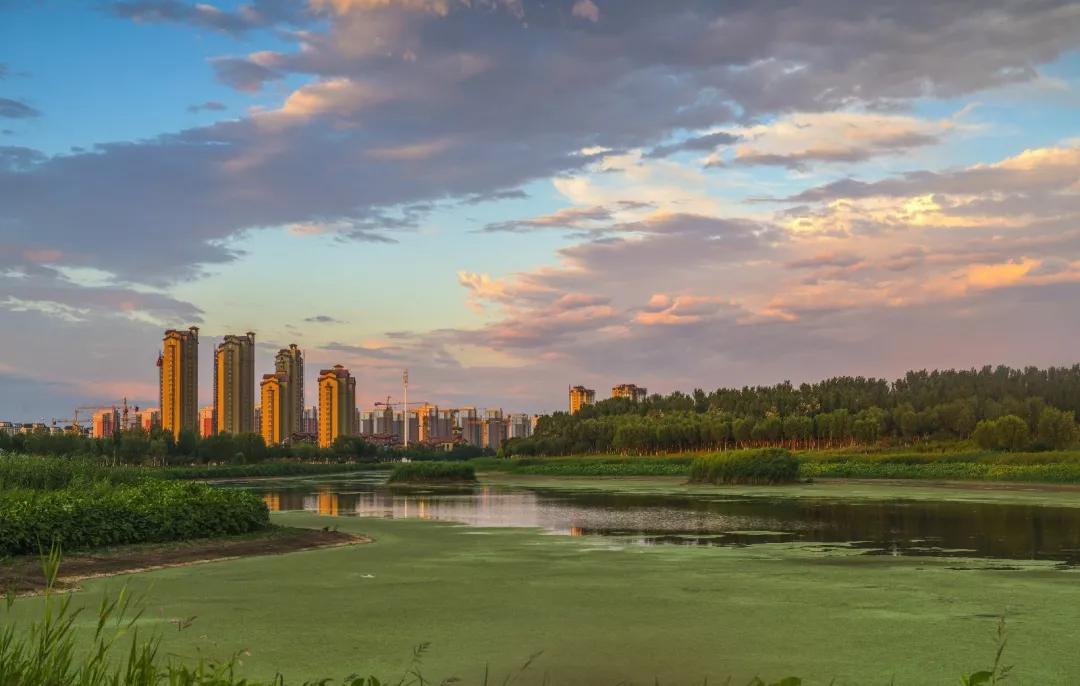 今年武清区有什么大发展,关于天津武清区发展报告