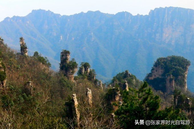 张家界森林公园亲子游攻略,张家界旅游攻略现在张家界气温