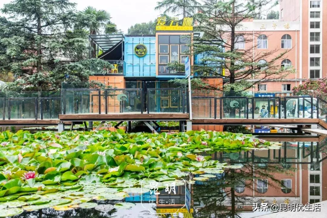 我眼中的云南财经大学,母校云南财经大学