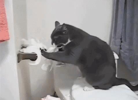 为什么女生尿尿需要纸巾擦，而男生不用？不能学男生抖抖吗？