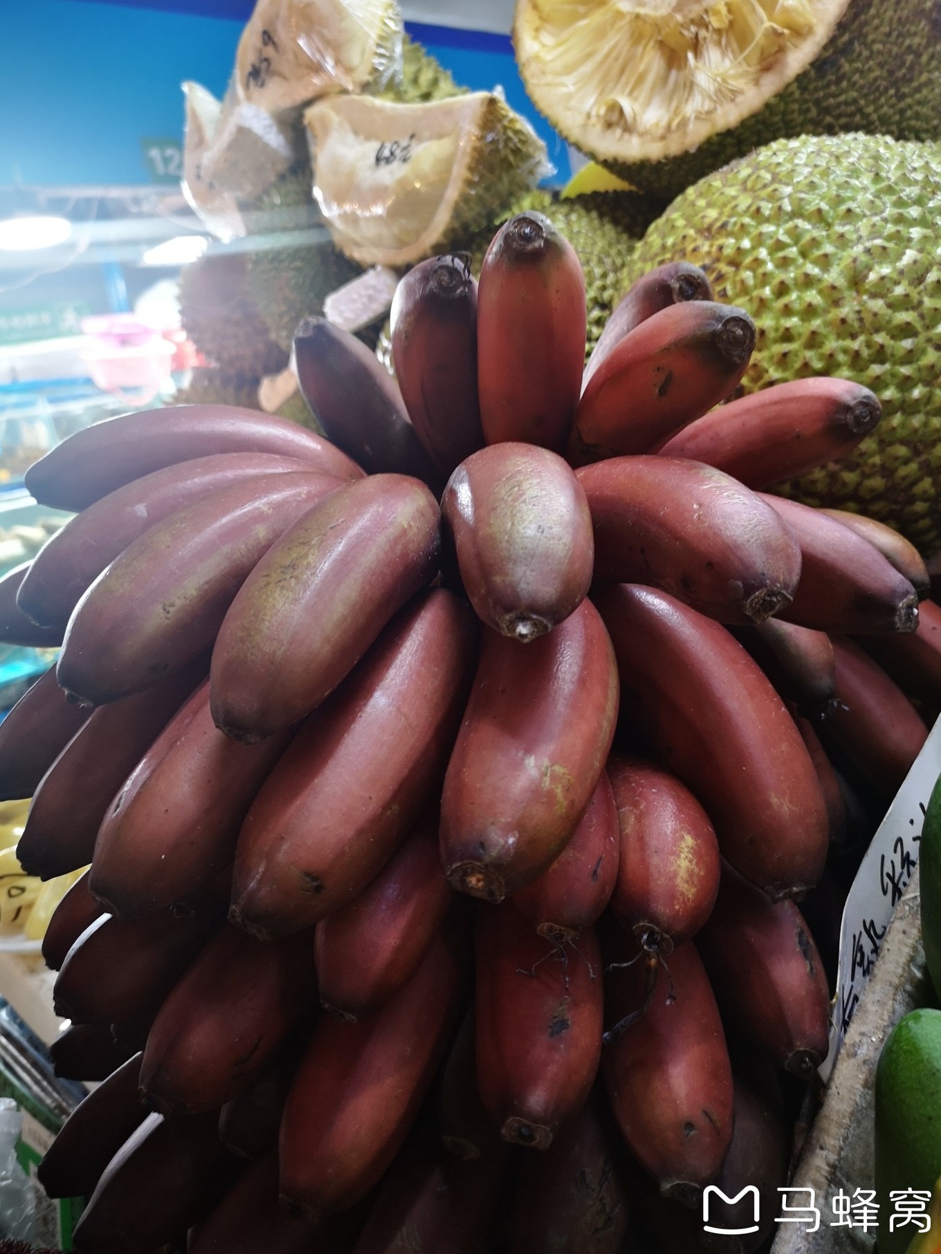 三亚夏天的海和冬天的海,三亚冬天如夏