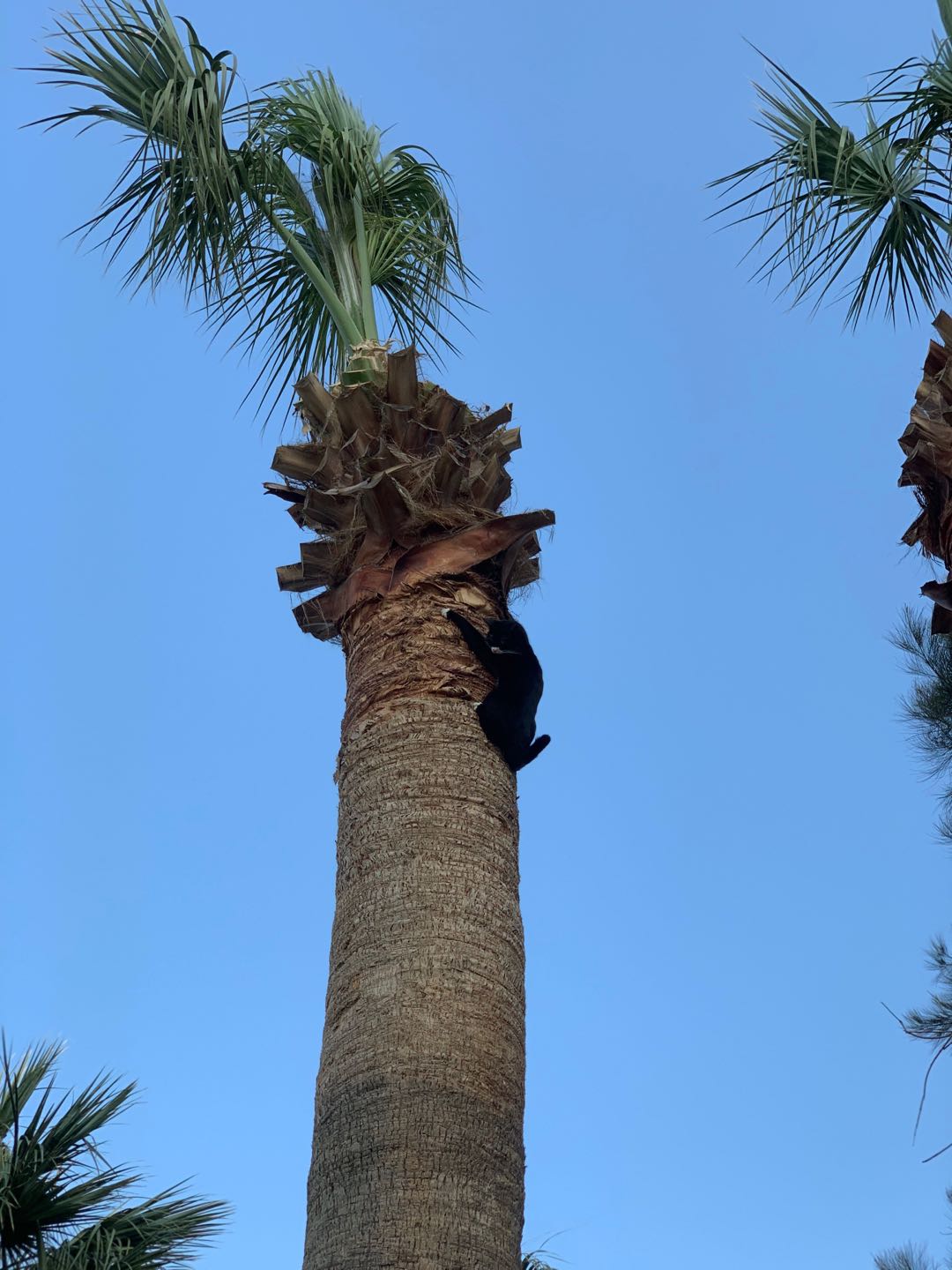 花样姐姐第一季景点,花样姐姐土耳其伊斯坦布尔