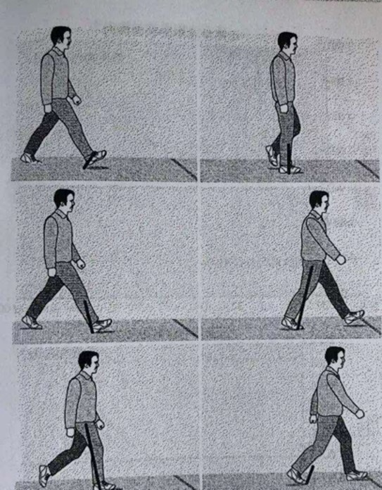 透气性好选哪款徒步鞋,cqb户外登山鞋新款