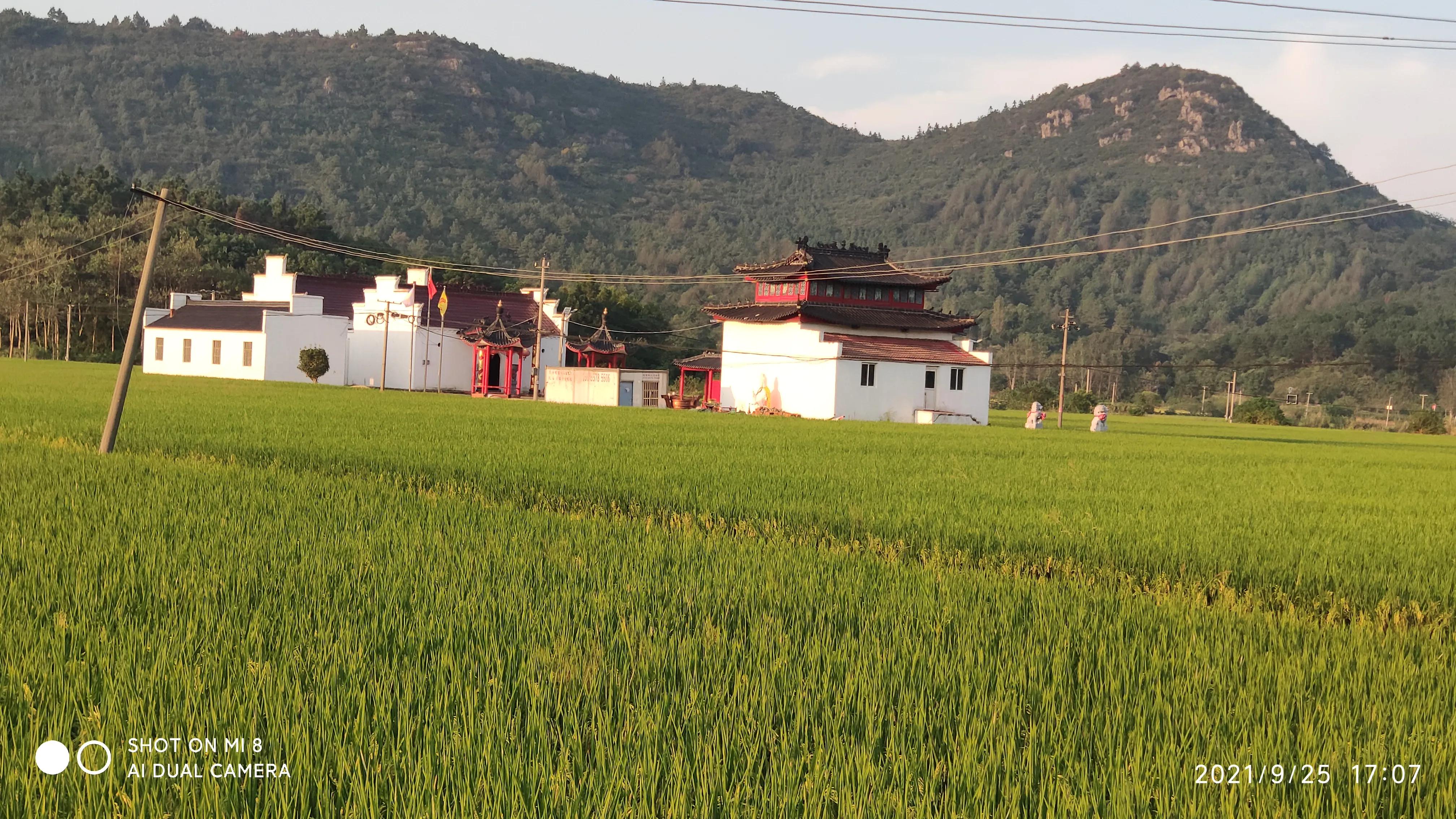 英语怎么学才能学好,如何才能最快地学会英语