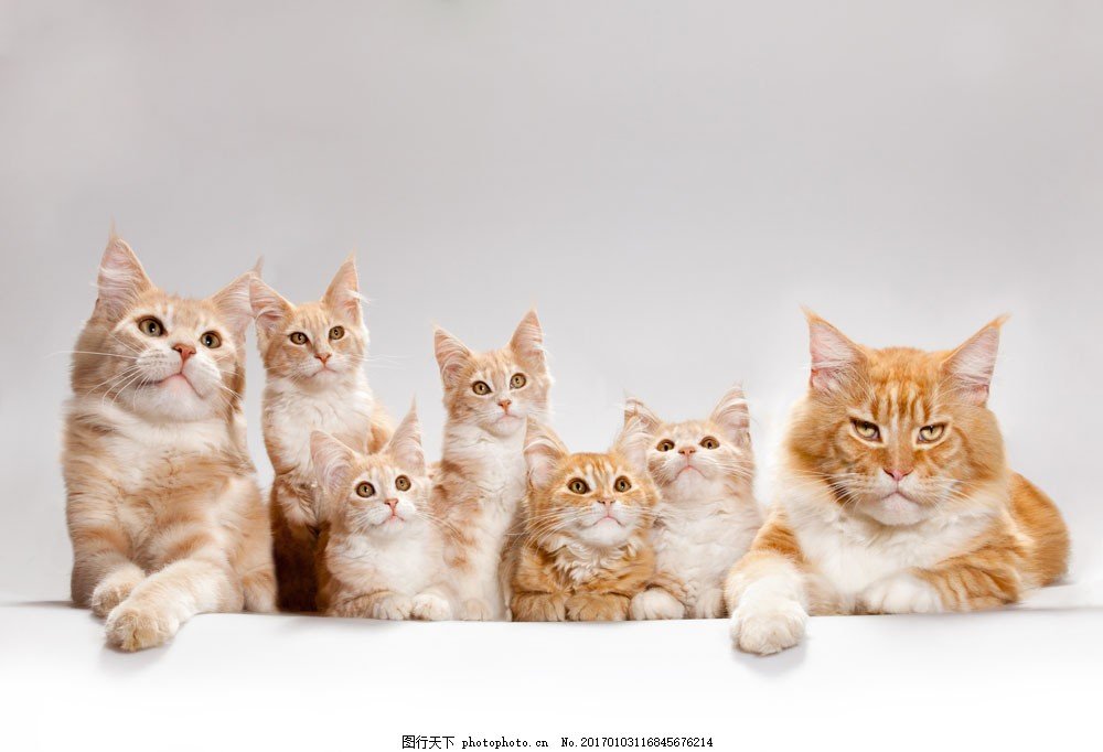 青春期的烦恼如何化解,怎么缓解青春期的迷茫