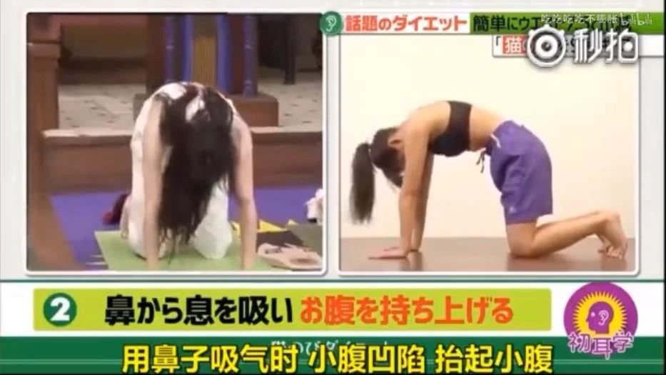 鏃ユ湰鑳栧閫嗚,鏃ユ湰鑳栧