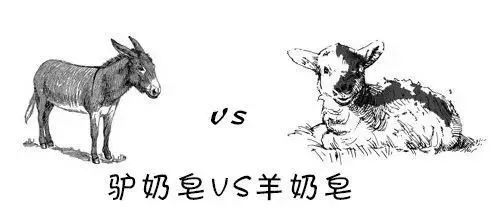 羊奶皂能去鸡皮肤吗,驴奶皂与羊奶皂哪个好