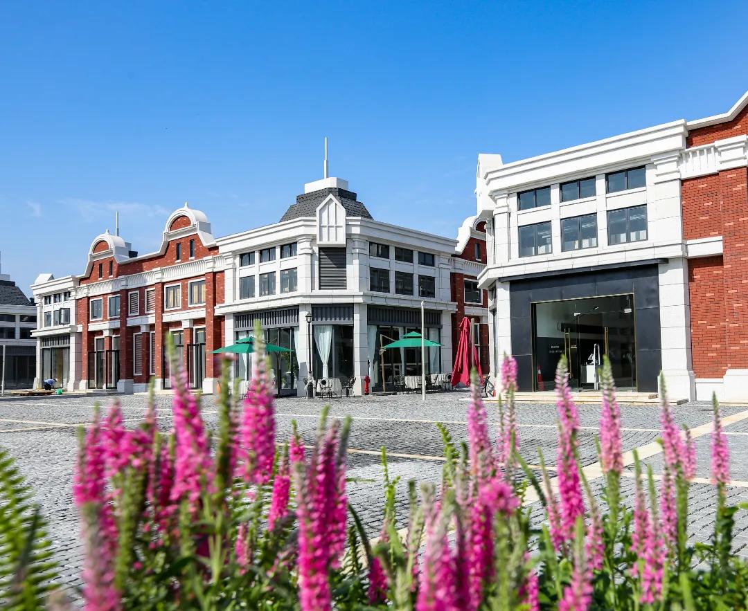 双十一,亚蓉欧国家(商品)馆!买全球、超划算!