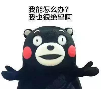 hr都爱选择的20人团建方案,hr团建内容有哪些