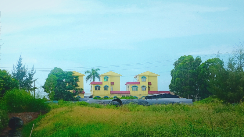 广东湛江自驾游记,广东游记湛江