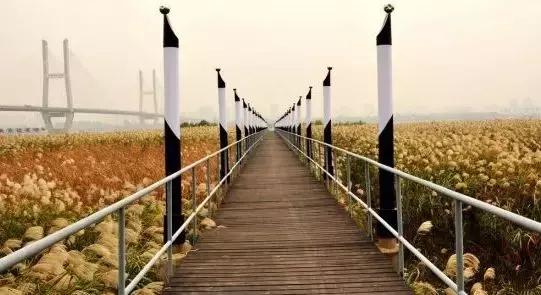 武汉网红爆火,武汉网红楼顶