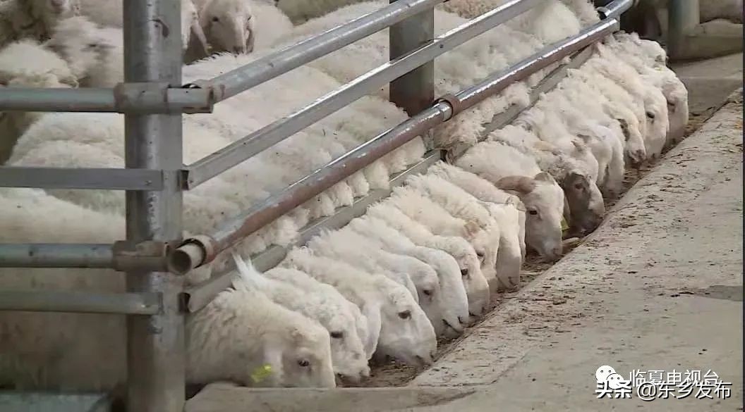 鑴辫传鏀诲潥鍙栧緱鍏ㄩ潰鑳滃埄澶鏂伴椈,涓滀埂鍘挎渶鏂扮殑鏂伴椈鑱旀挱