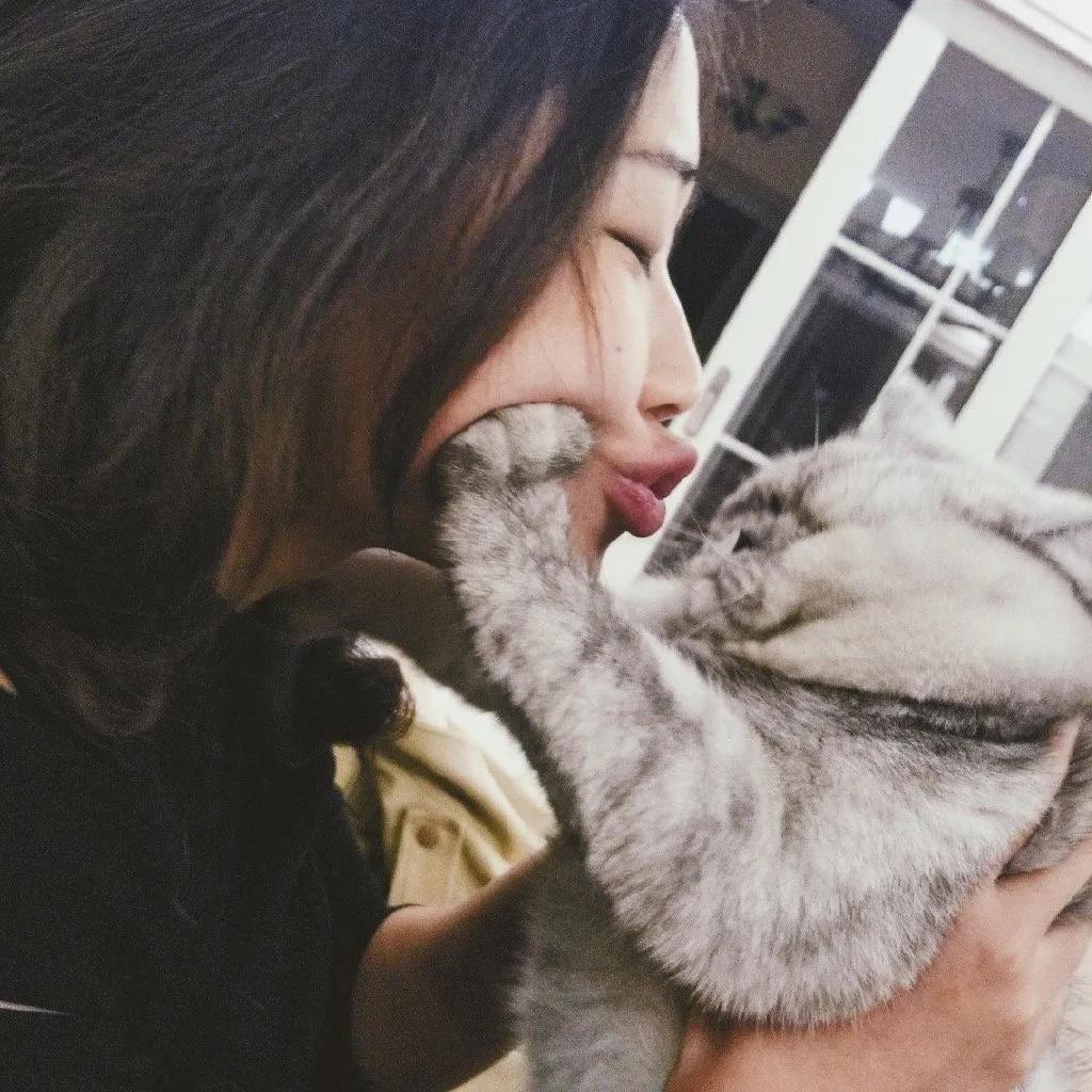 卑微的两脚兽，欢迎来到喵星人的世界