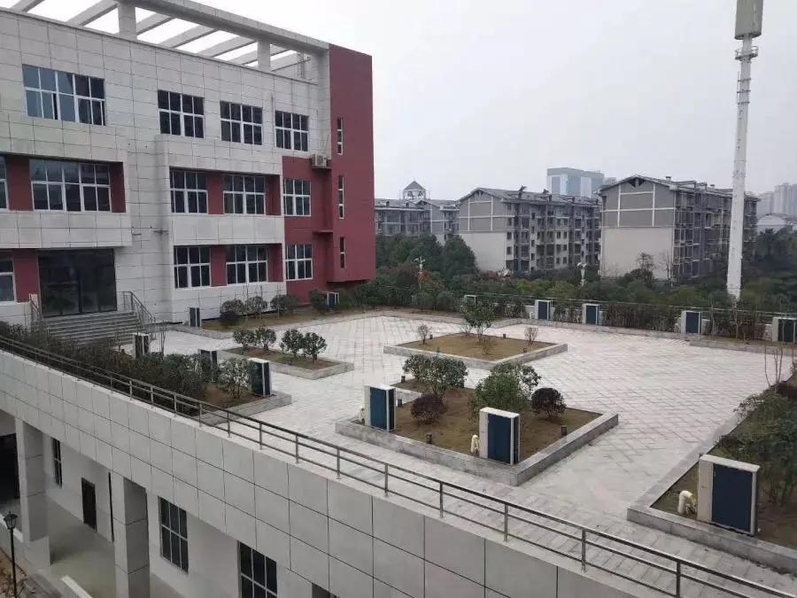 衡阳市名校巡礼,衡阳十佳中学