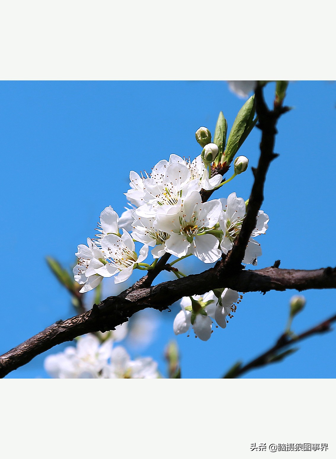 佳能24105红圈镜头测评,佳能24105红圈镜头价位