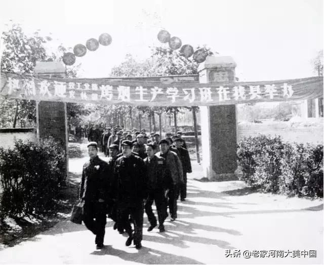 许昌襄县烟叶烘烤基地,河南许昌襄城县烟叶基地