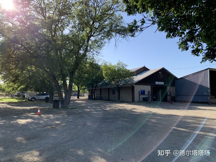 加州大学戴维斯分校和洛杉矶分校,加利福尼亚大学戴维斯分校qs