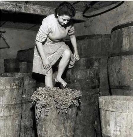 五张历史照片，秤杆上是奴隶妇女在挣扎，铁链锁住被贩卖的土著人