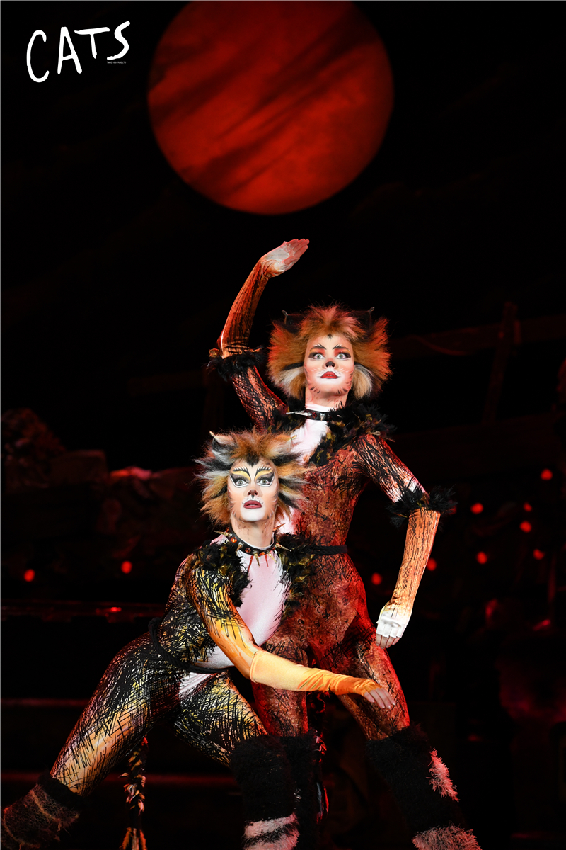 天津大剧院音乐剧演出,天津音乐剧2020