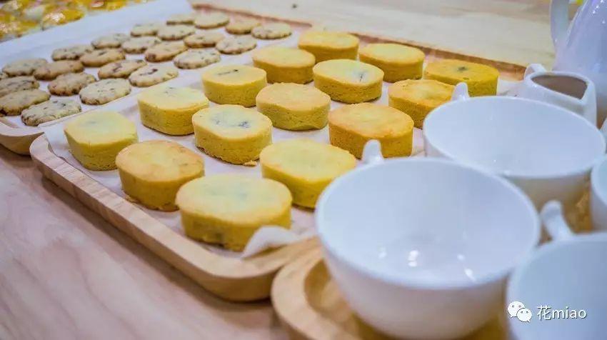 2年，从初创到被央视直播，凭啥这个用“喵”代言的品牌会火？