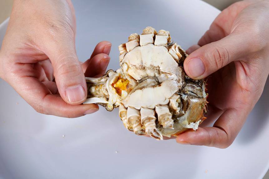 吃蟹注意事项与禁忌,螃蟹虽好但这2种蟹绝不能吃