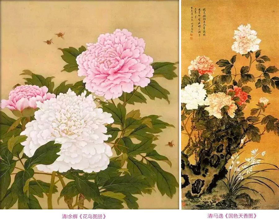 牡丹油画棒教程,油画棒立体牡丹花绘画