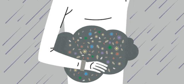 利用宿主分泌的粘蛋白“为食”的Akk菌