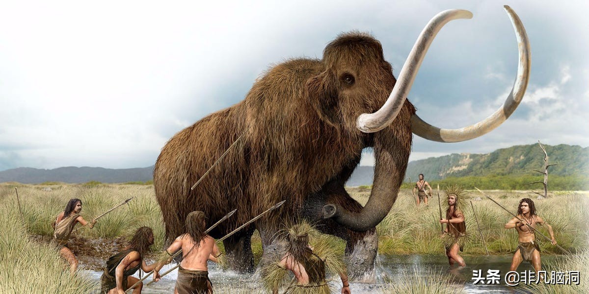 已灭绝四万年的猛犸象，人类祖先曾和猛犸象生死决斗