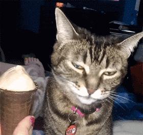 88元一根，爱要不要！连冰激凌都开始“内卷”了