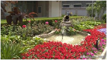 协和的园子：一座澄净心灵的医学百草园