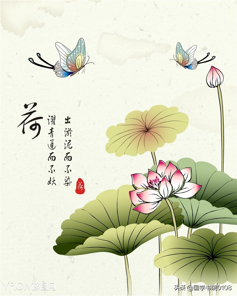 有哪些描写夏季荷花的绝美的诗词,夏天荷叶荷花池塘的诗词